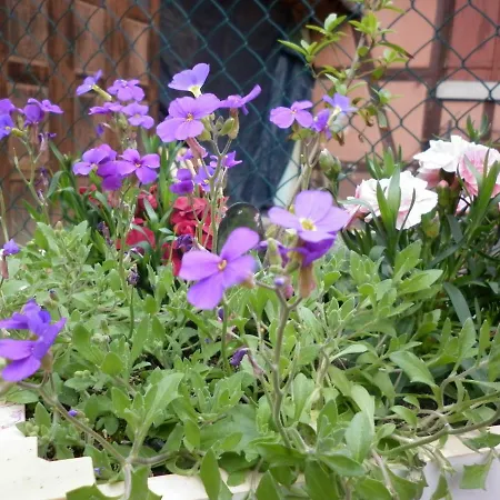 Petermann Gasthof 3*